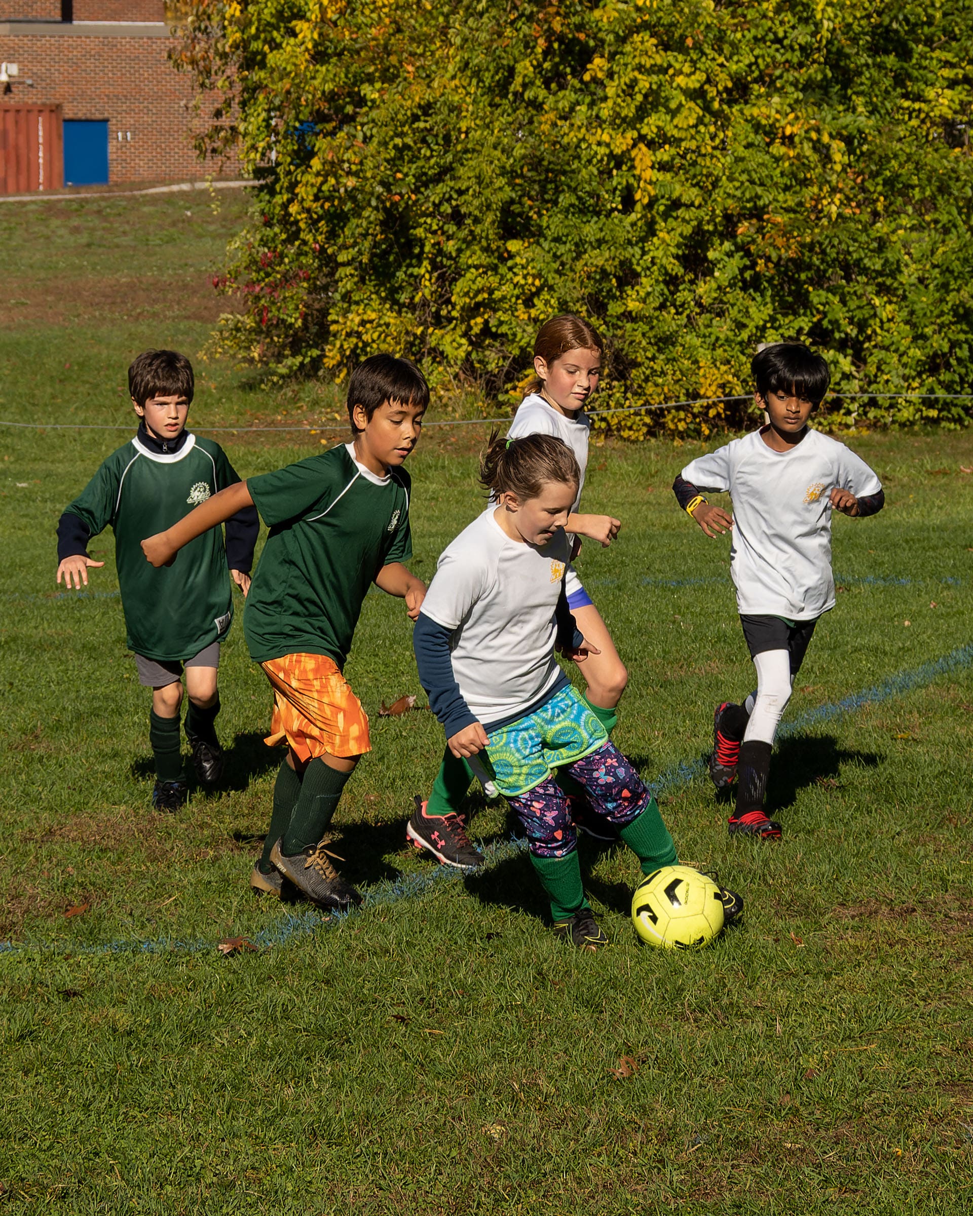 PA152068-ORF_DxO_DeepPRIME